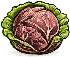 Repollo Morado